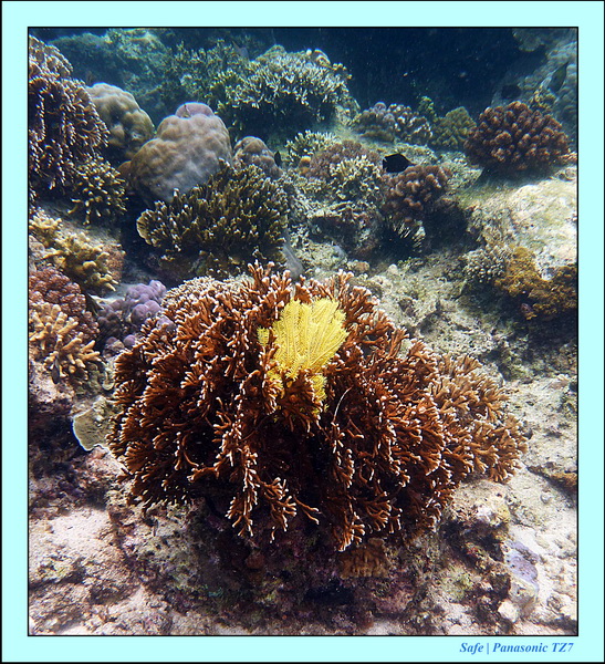 2012 - 07 - Boracay plongee - 09